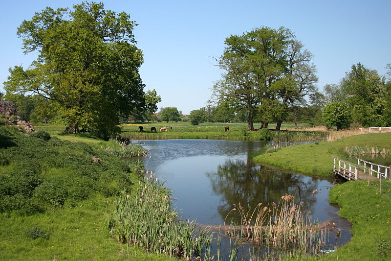 Killikus&reg; Fotographie